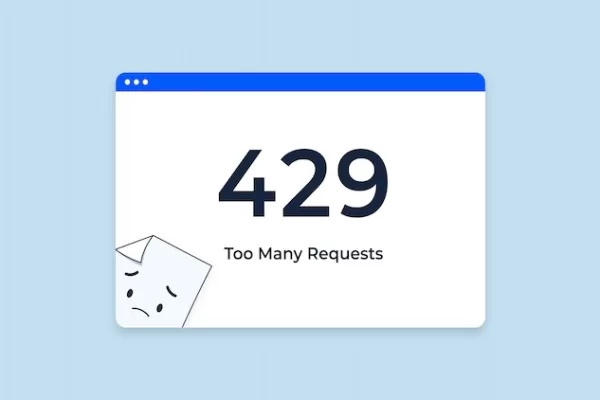 429 Too Many Requests Hatası