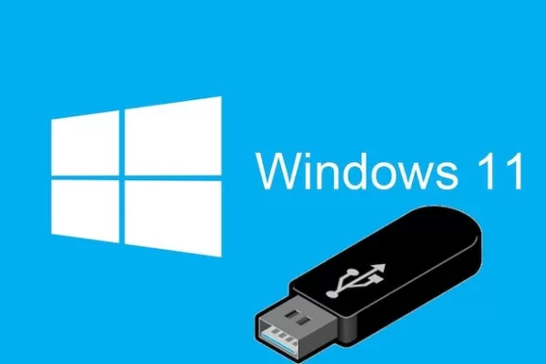 usb'den windows 11 kurulumu