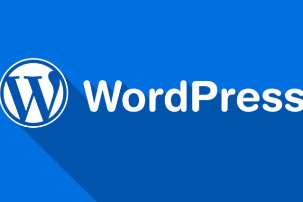 wordpress güvenliği