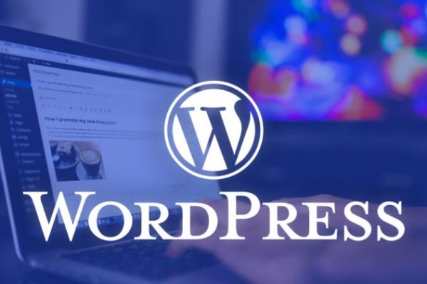 wordpress ana sayfadan yazı gizleme